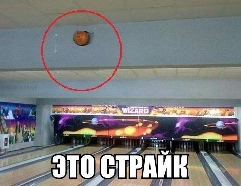 Прикольные картинки (91 фото)