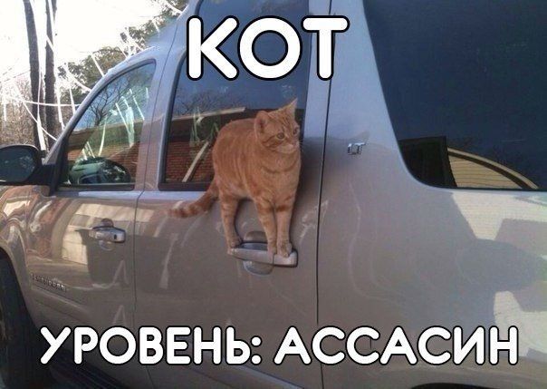 Прикольные картинки (91 фото)