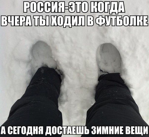 Прикольные картинки (91 фото)