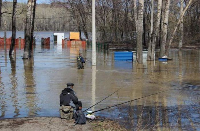 Порция картинок