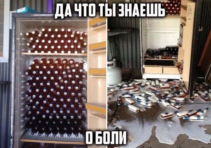 Порция картинок