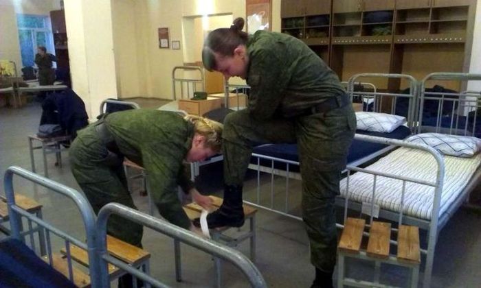 Порция картинок