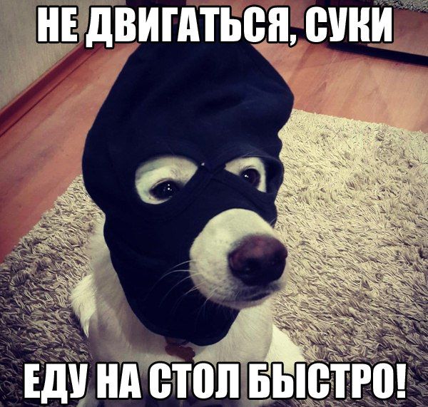 Порция картинок