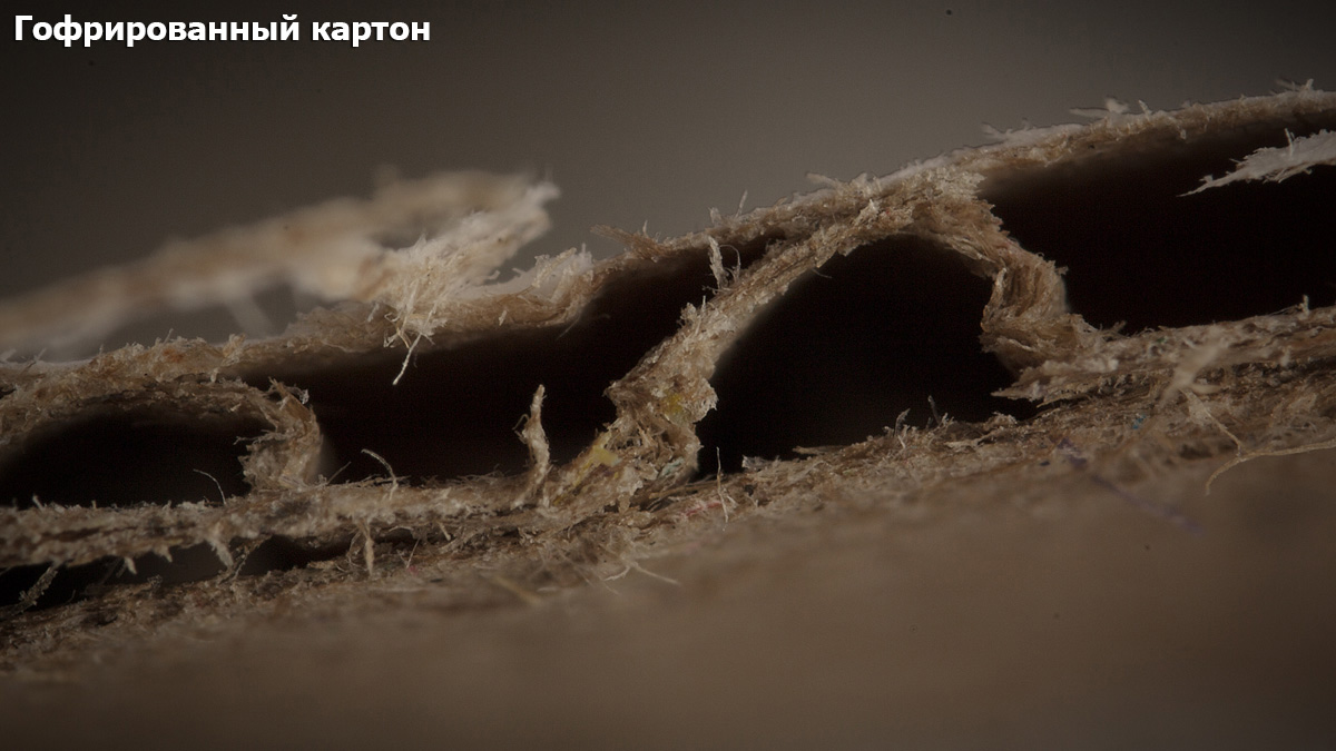 Повседневные вещи крупным планом