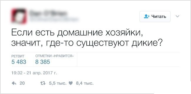Смешные вопросы из соцсети