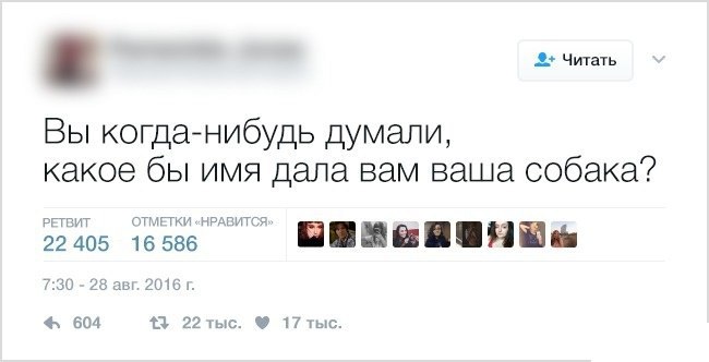 Смешные вопросы из соцсети