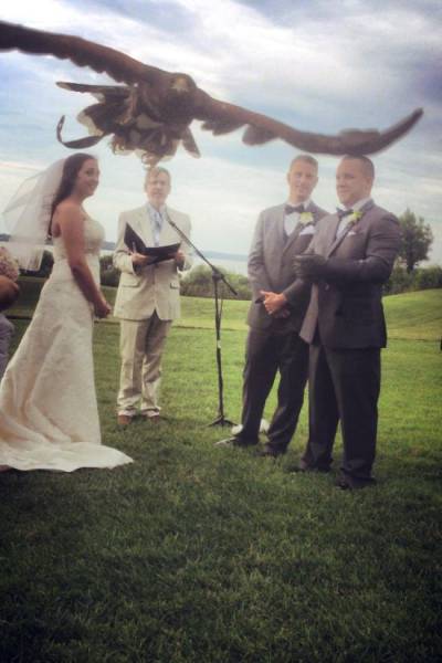 Смешные свадебные фото