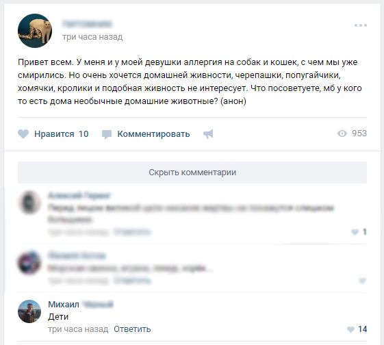 Юмор социальных сетей