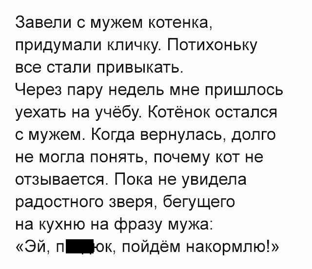 Юмор социальных сетей