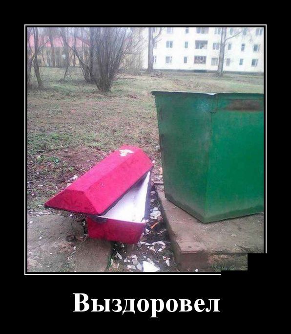 Демотиваторы
