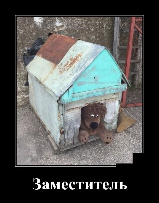 Демотиваторы