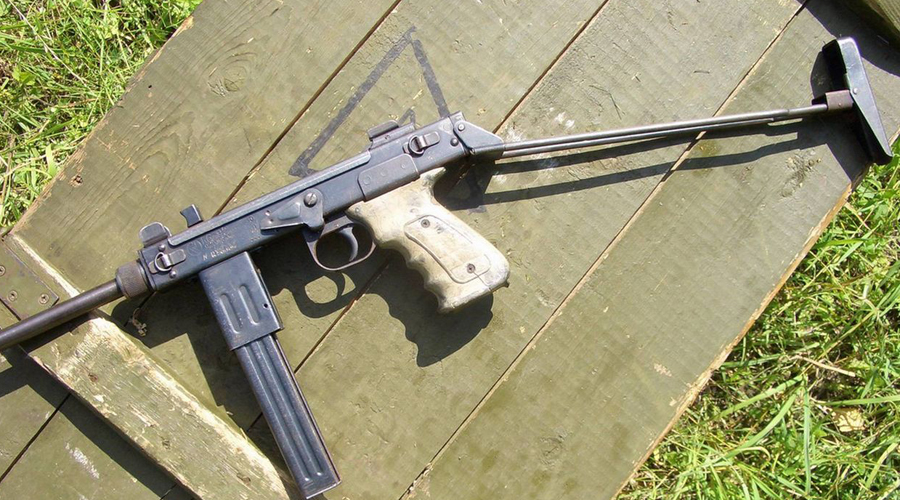 Борз в Чечне