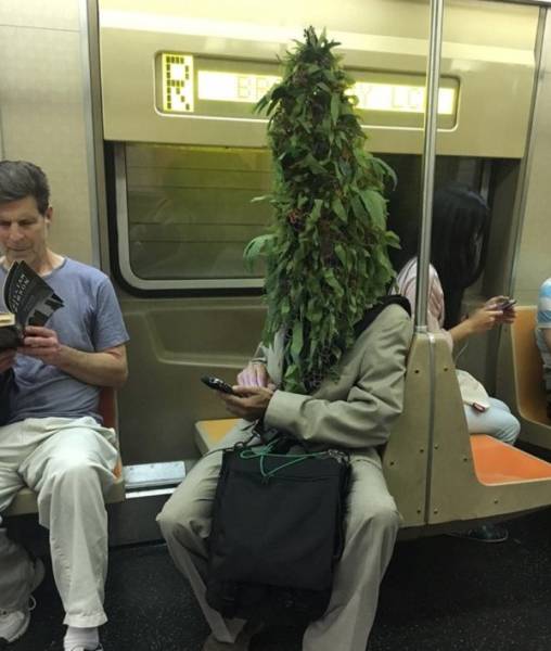 Странные пассажиры метро