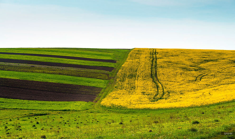 Весна в Карпатах Весна в Карпатах