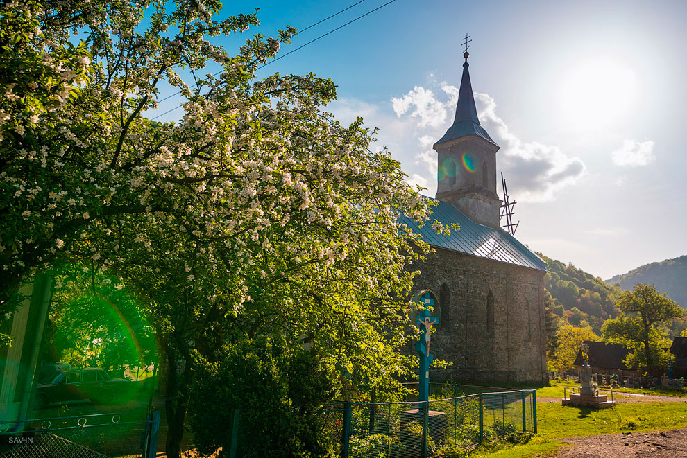 Весна в Карпатах Весна в Карпатах