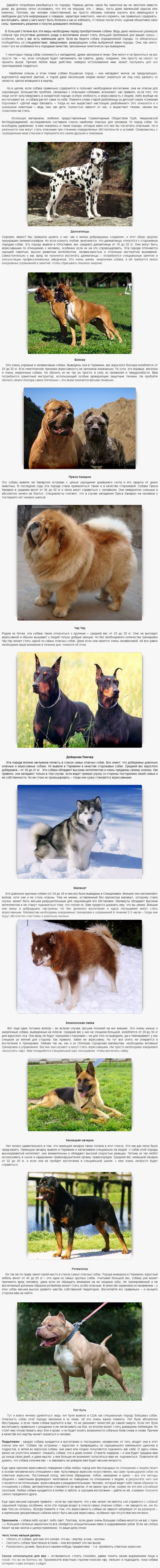 Самые опасные собаки