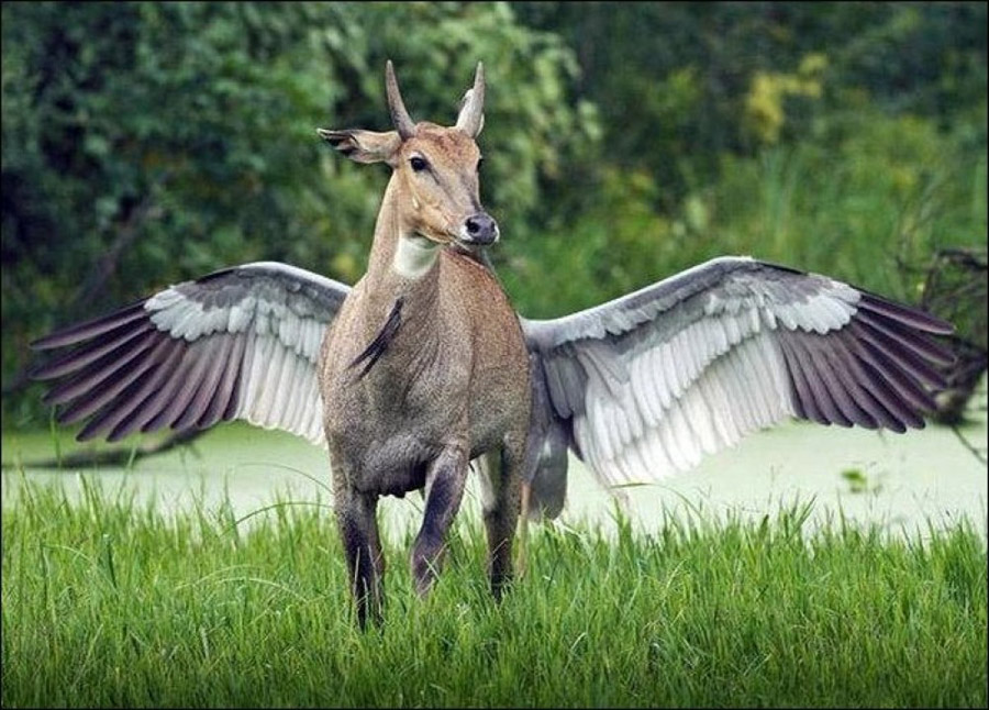Подловили