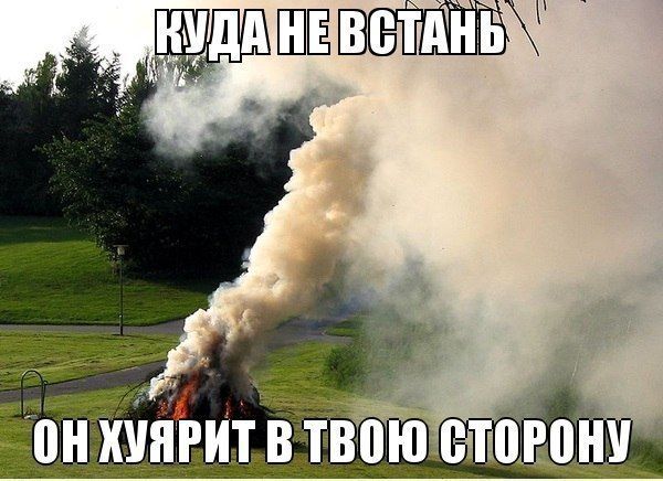 Прикольные картинки (89 фото)