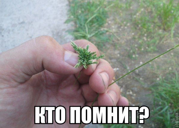Прикольные картинки (89 фото)