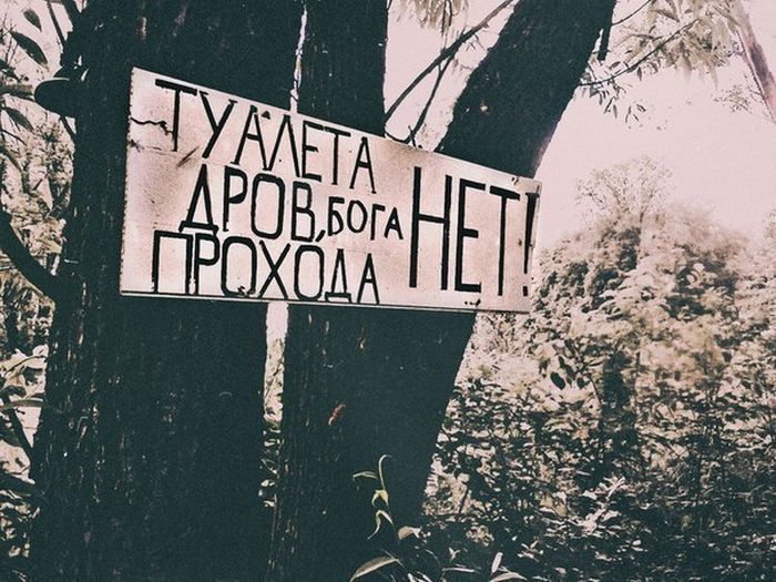 Прикольные картинки (89 фото)