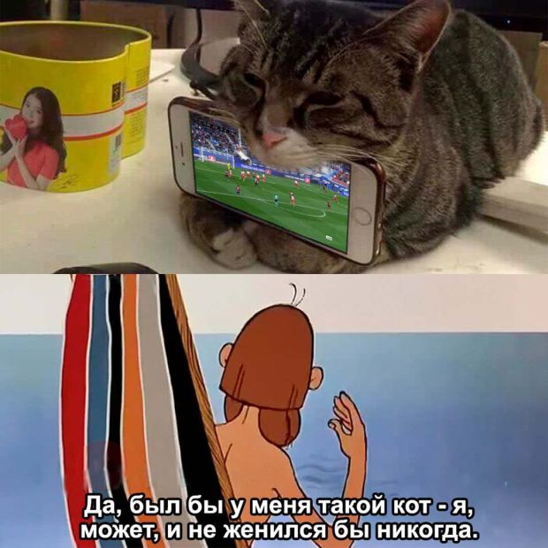 Прикольные картинки