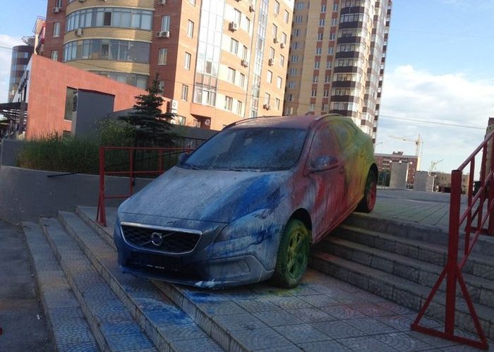 Прикольные картинки