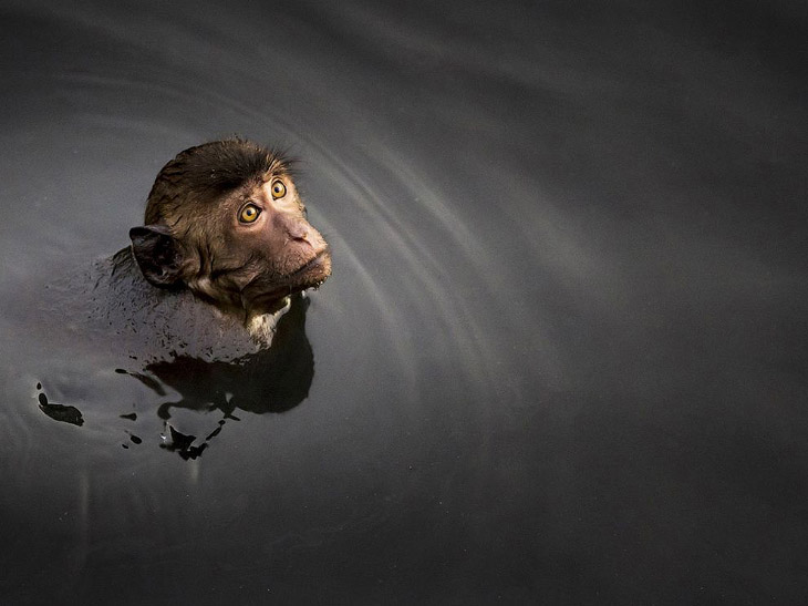 National Geographic: лучшие фотографии июня National Geographic: лучшие фотографии июня
