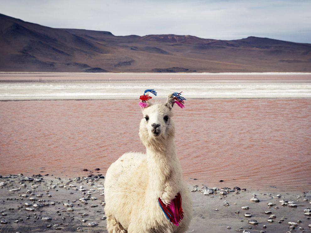 National Geographic: лучшие фотографии июня National Geographic: лучшие фотографии июня