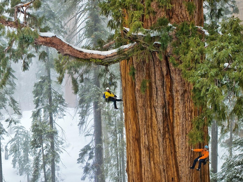 National Geographic: лучшие фотографии июня National Geographic: лучшие фотографии июня