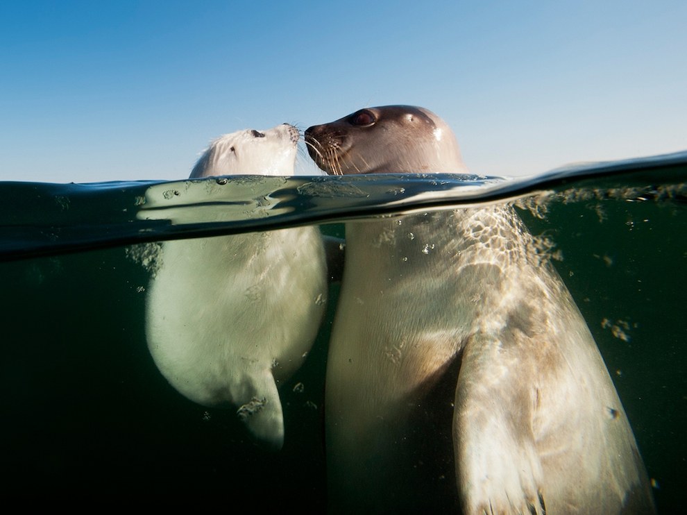 National Geographic: лучшие фотографии июня National Geographic: лучшие фотографии июня