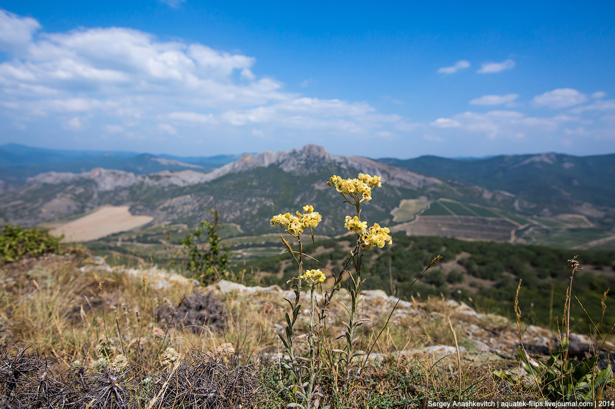 Хребты Юго-восточного Крыма Хребты Юго-восточного Крыма