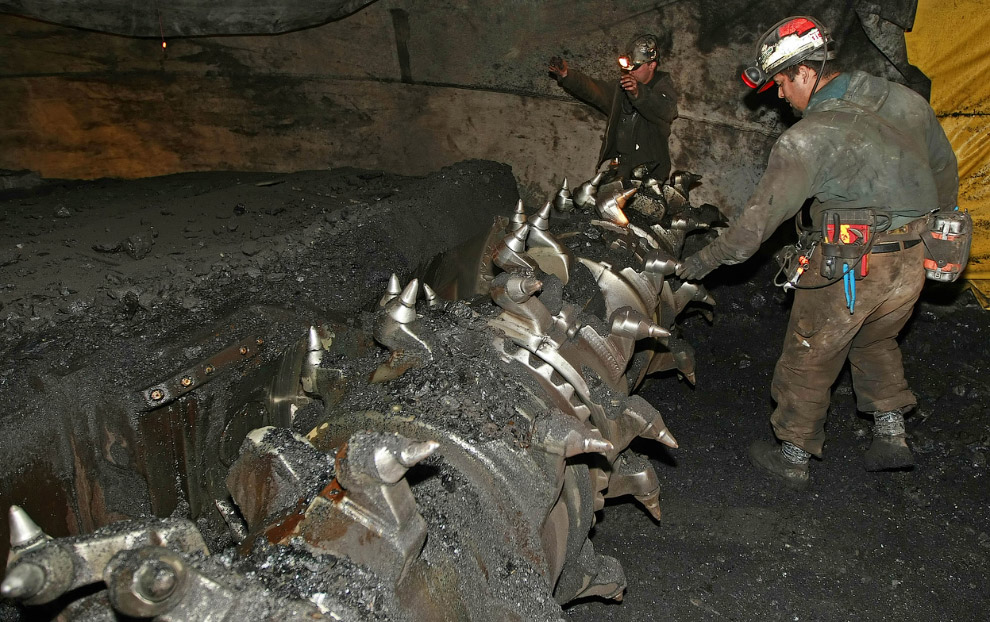 Уголь — древнее растение под землей