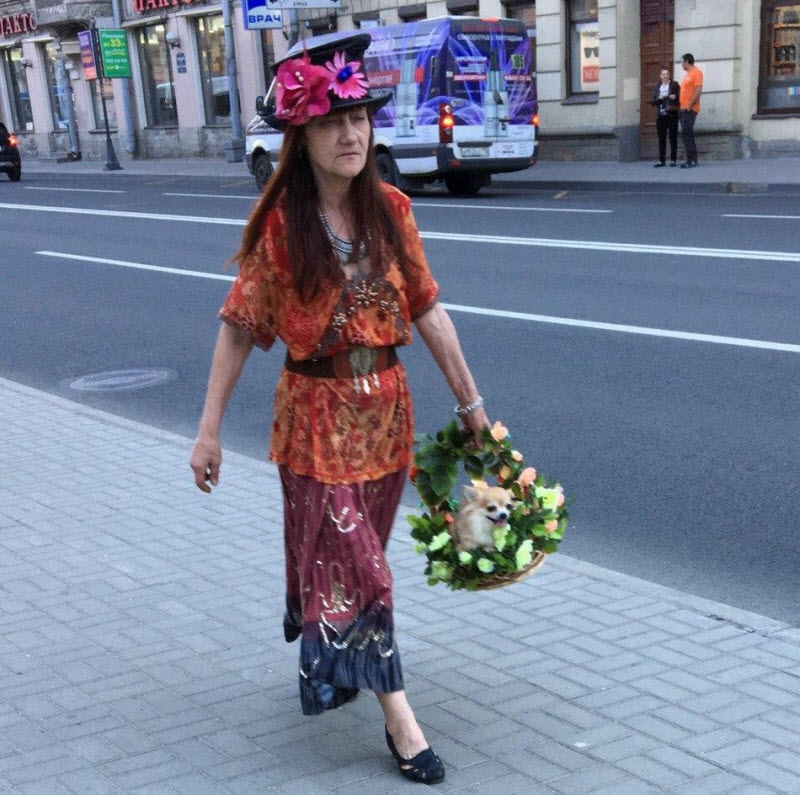 Чудики из социальных сетей