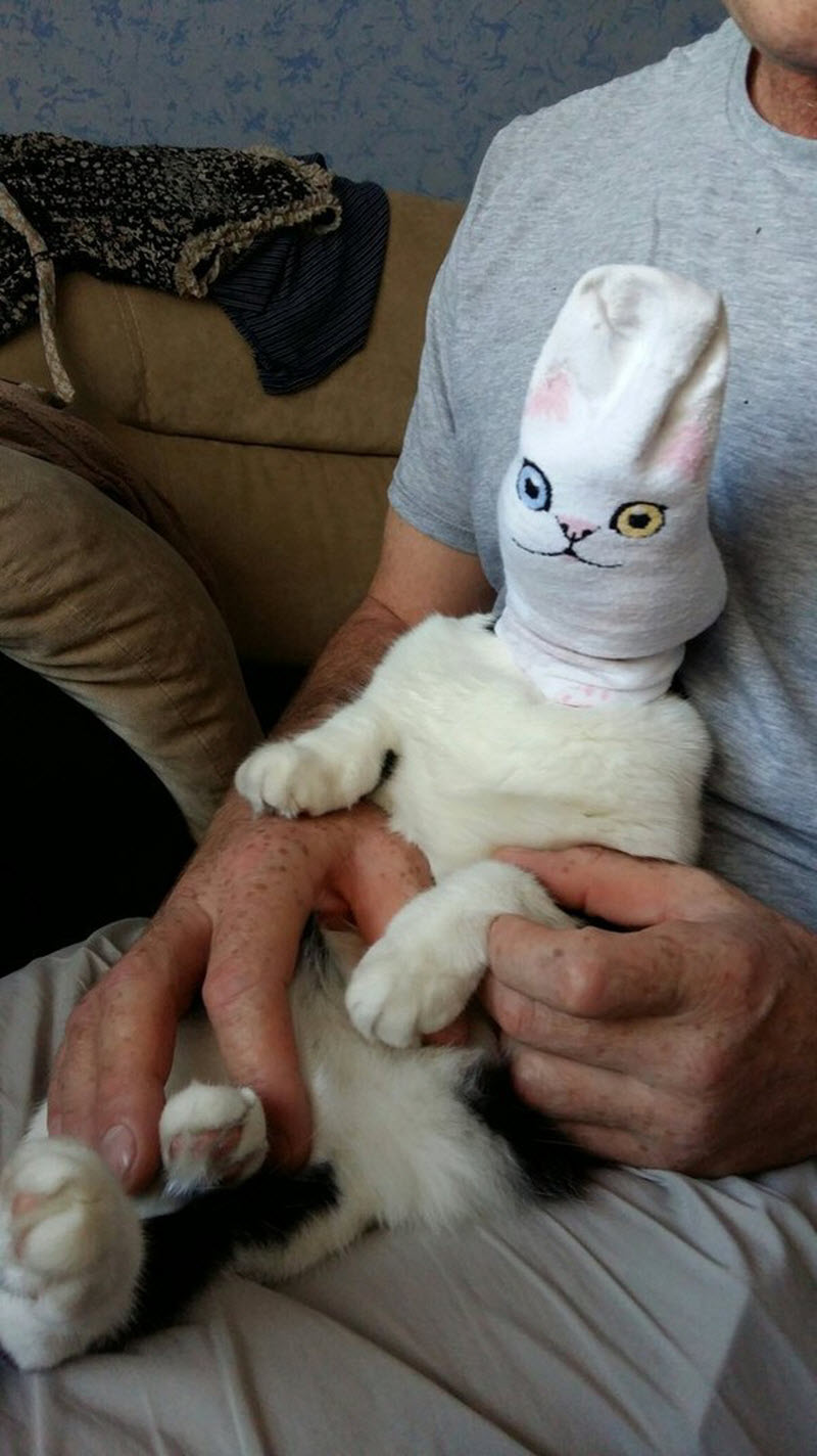 Чудики из социальных сетей