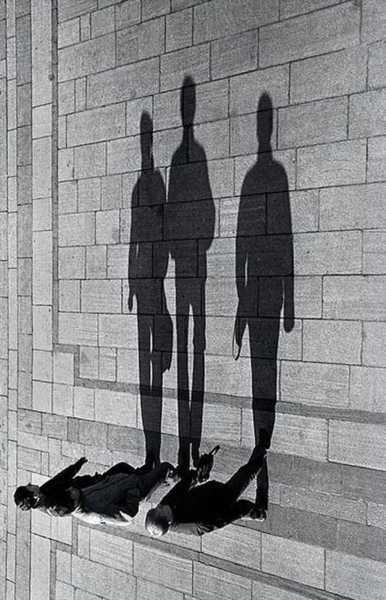 25 фотографий, на которых главное — правильный ракурс 25 фотографий, на которых главное — правильный ракурс