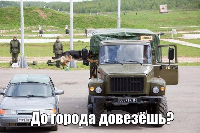 Прикольные картинки