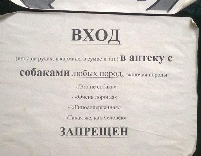 Креативные объявления на улицах российских городов