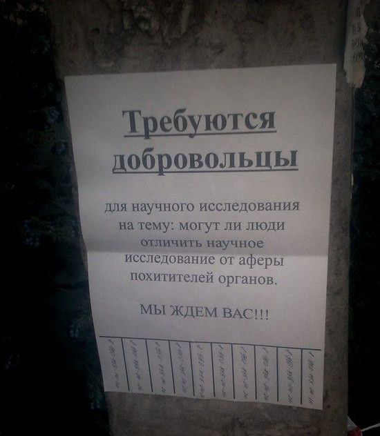 Креативные объявления на улицах российских городов