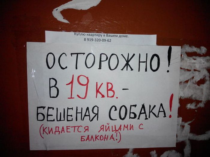 Креативные объявления на улицах российских городов