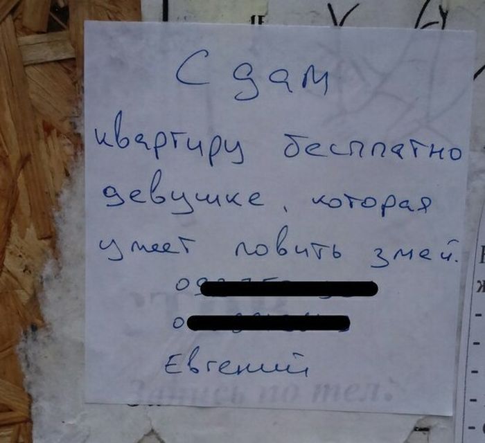 Креативные объявления на улицах российских городов