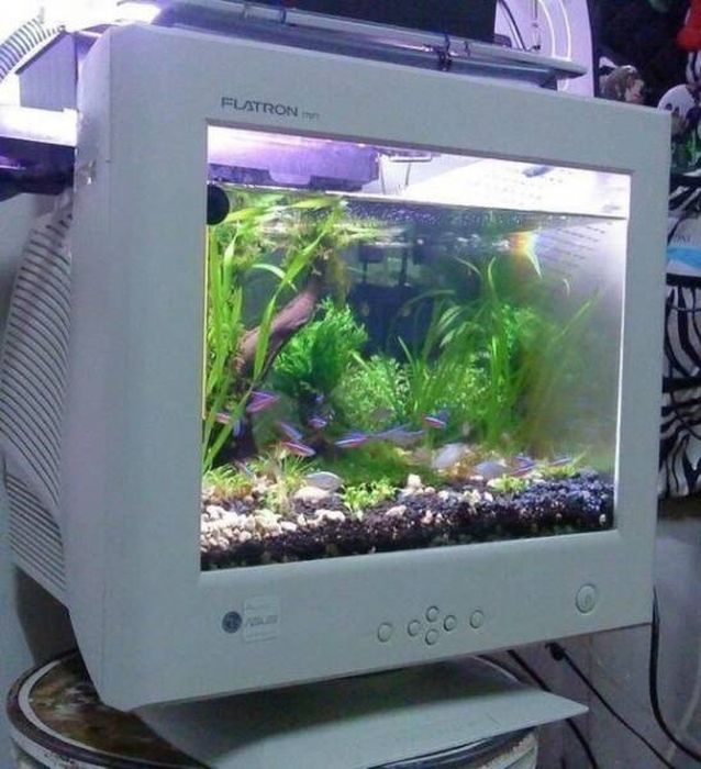 Креативные решения бытовых проблем