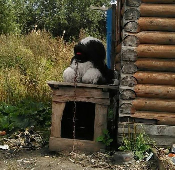 Креативные решения бытовых проблем