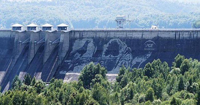 На польской плотине озера Солина появились гигантские изображения животных