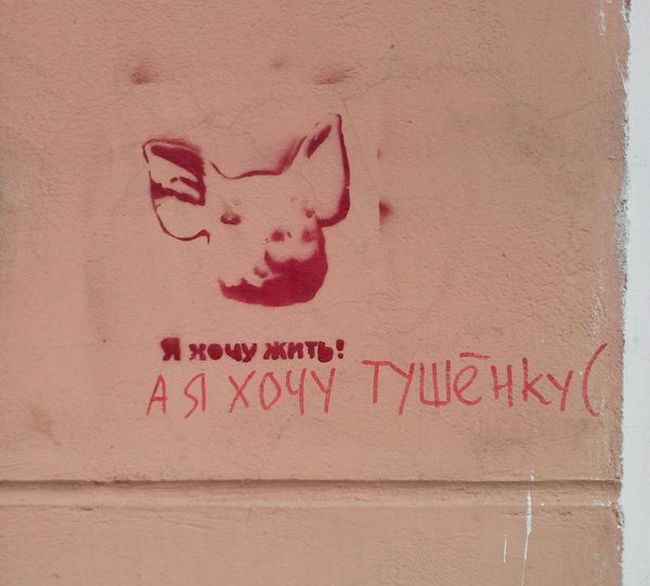Порция картинок