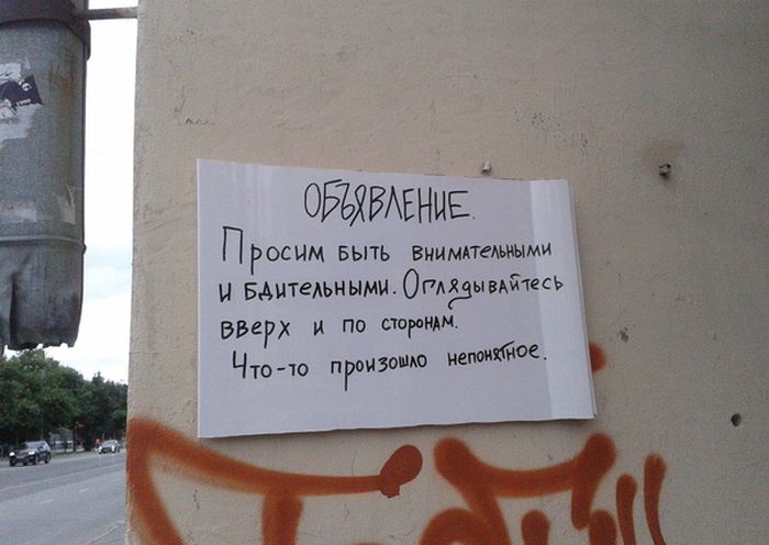 Порция картинок