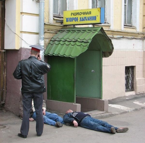 Порция картинок
