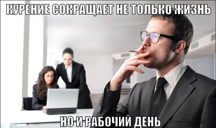 Порция картинок