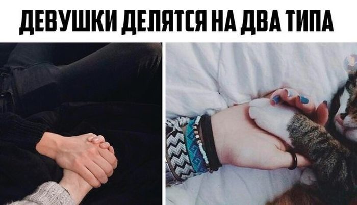 Порция картинок