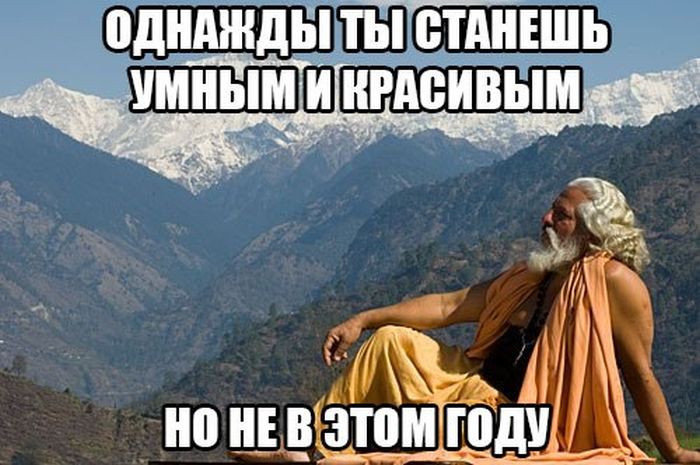 Порция картинок
