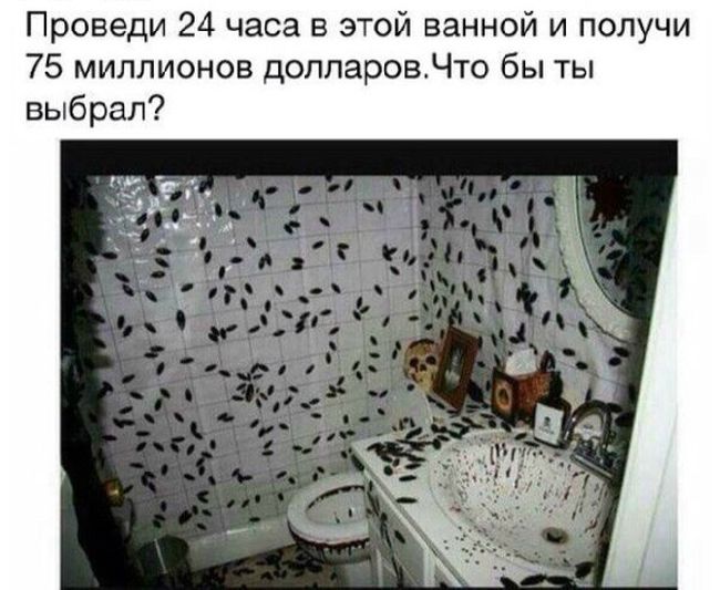 Порция картинок